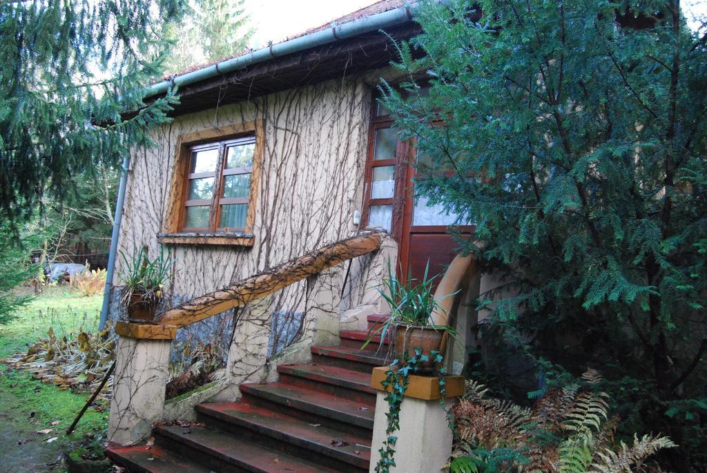 Boróka Apartmanházak - Öregház Velem Habitación foto